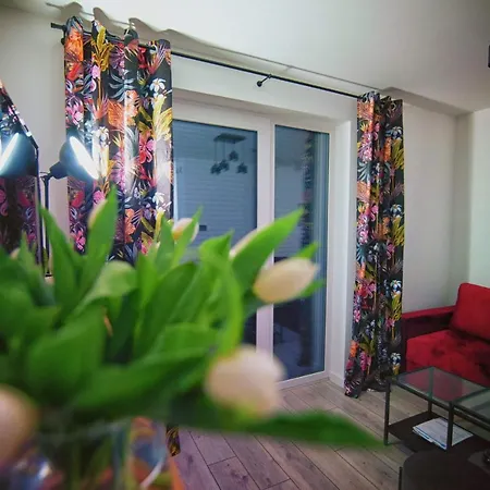 Blue Sky - Premium * Zator