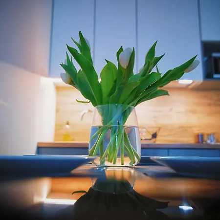 Blue Sky - Premium Apartman